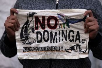 Chile rechaza la viabilidad ambiental del proyecto Dominga por biodiversidad y planes insuficientes