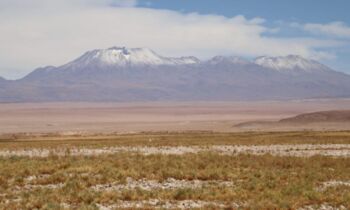 Histórica multa a Minera Escondida por daño ambiental en Tilopozo: deberá pagar 10.000 UTA