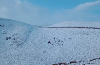 Emergencia en la Puna salteña: rescatan a trabajadores mineros atrapados por la nieve