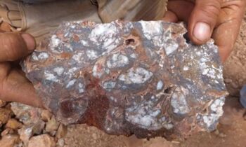 Red Metal amplía su exploración en Carrizal: nuevos muestreos para confirmar alto potencial de cobre