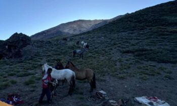 Kobrea impulsa su primer gran avance operativo en Mendoza con la construcción del camino hacia El Perdido