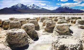 Quiborax enfrenta juicio por presunto daño ambiental en el Salar de Surire