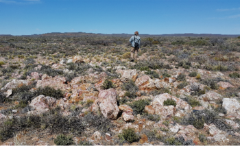 Aldebaran reorganiza su portafolio en el norte argentino y crea SpinCo