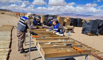 Argenta Silver perforará 4.000 metros en El Quevar y afina modelo geológico para la Fase 2