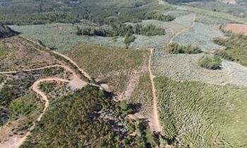 Chilean Cobalt acelera NeoRe y busca llevar su proyecto de tierras raras a producción en un año