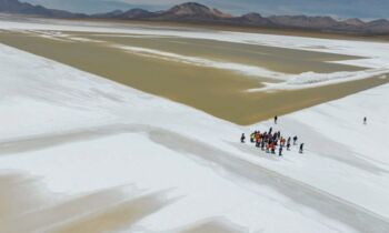 Juicio ambiental contra Quiborax: CDE rechaza conciliación y se mantiene la paralización en el Salar de Surire